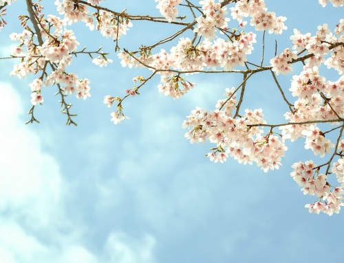 ¿Cómo cuidar la salud bucodental en primavera?